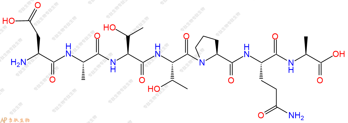 专肽生物产品H2N-Asp-Ala-Thr-Thr-Pro-Gln-Ala-OH