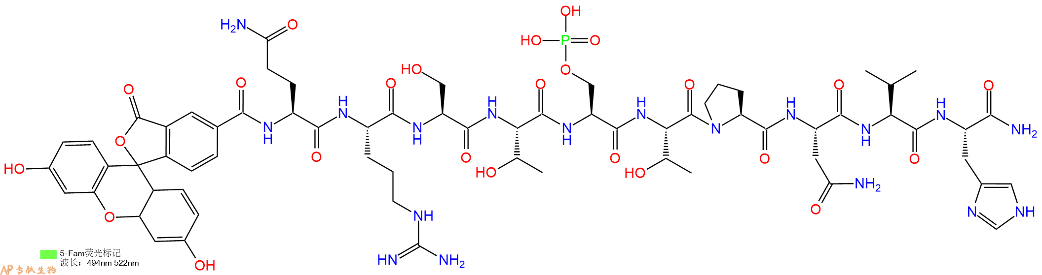 专肽生物产品5FAM-Gln-Arg-Ser-Thr-Ser(PO3H2)-Thr-Pro-Asn-Val-His-NH2