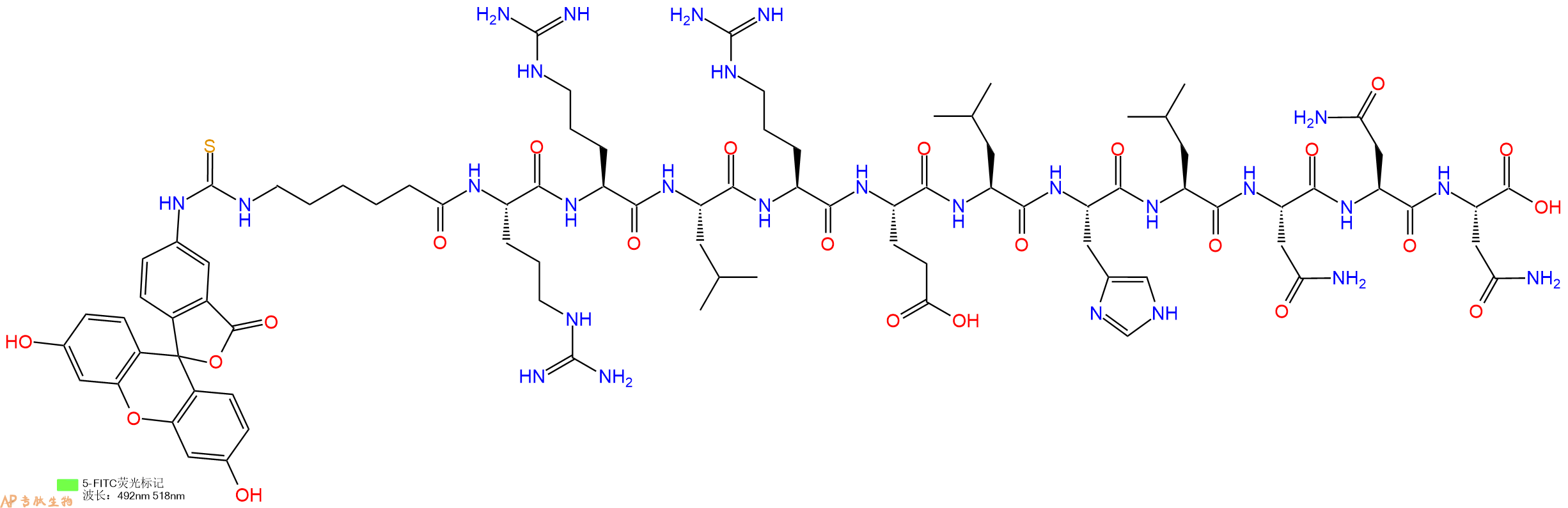专肽生物产品5FITC-Ahx-Arg-Arg-Leu-Arg-Glu-Leu-His-Leu-Asn-Asn-Asn-OH