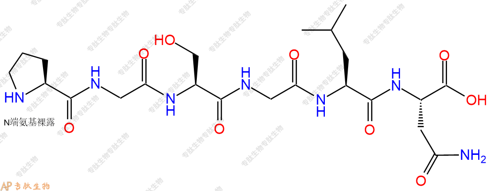 专肽生物产品H2N-Pro-Gly-Ser-Gly-Leu-Asn-OH