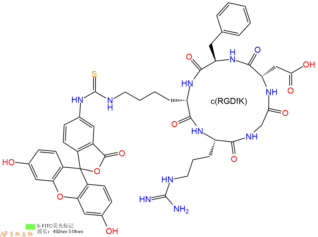 专肽生物产品5FITC-c(RGDfK)、5FITC-cyclo(RGDfK)