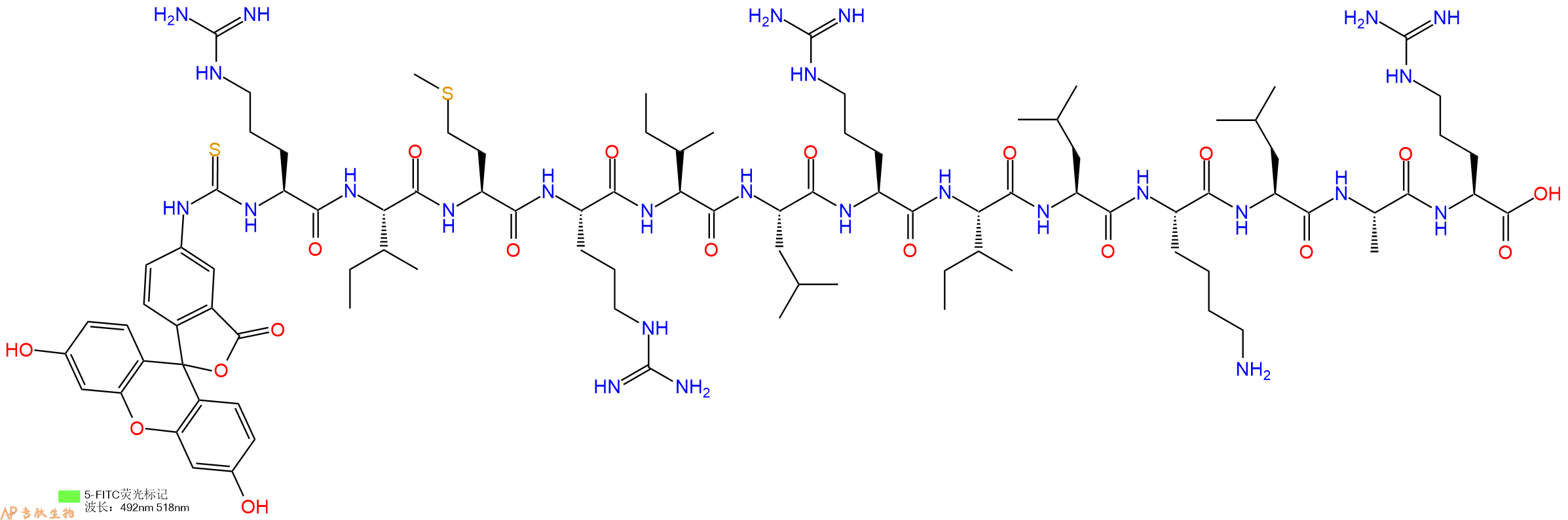 专肽生物产品5FITC-Arg-Ile-Met-Arg-Ile-Leu-Arg-Ile-Leu-Lys-Leu-Ala-Arg-OH