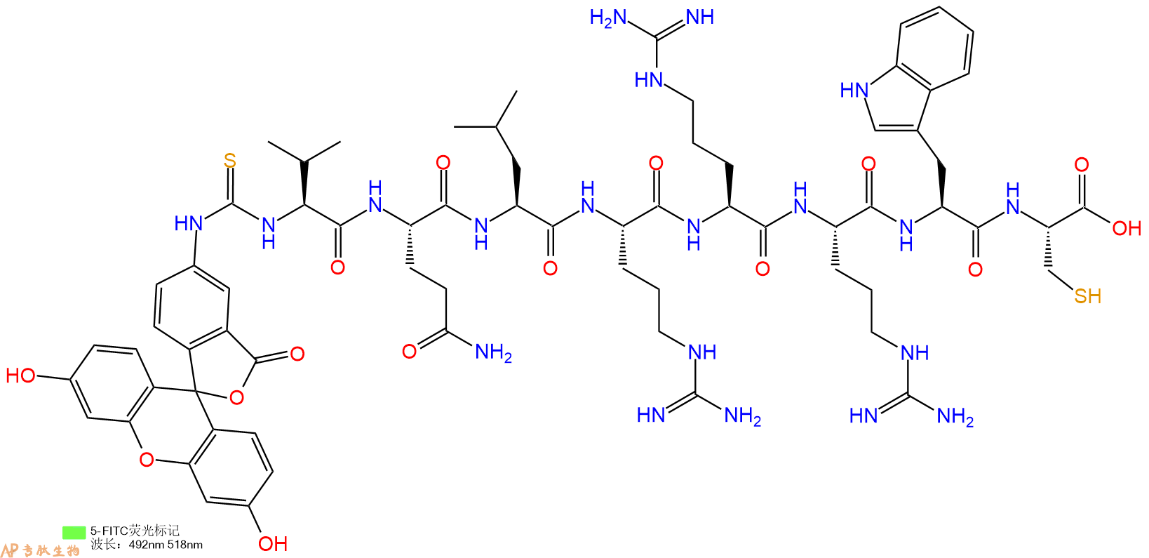 专肽生物产品5FITC-Val-Gln-Leu-Arg-Arg-Arg-Trp-Cys-OH