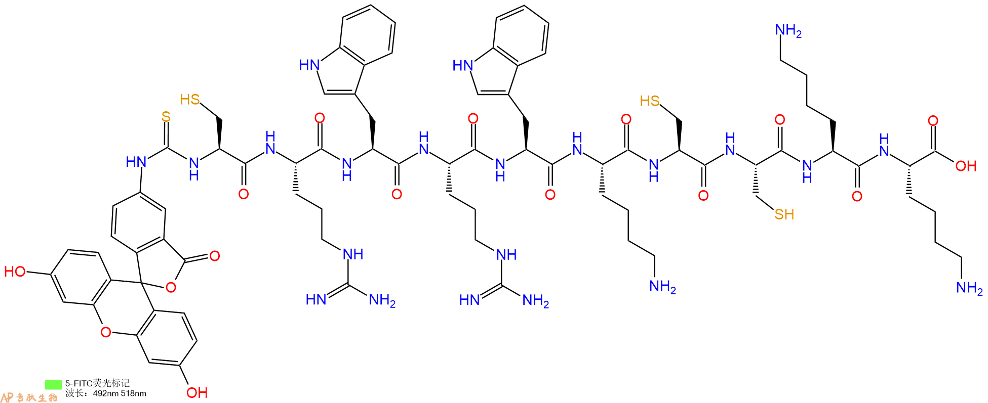 专肽生物产品5FITC-Cys-Arg-Trp-Arg-Trp-Lys-Cys-Cys-Lys-Lys-OH
