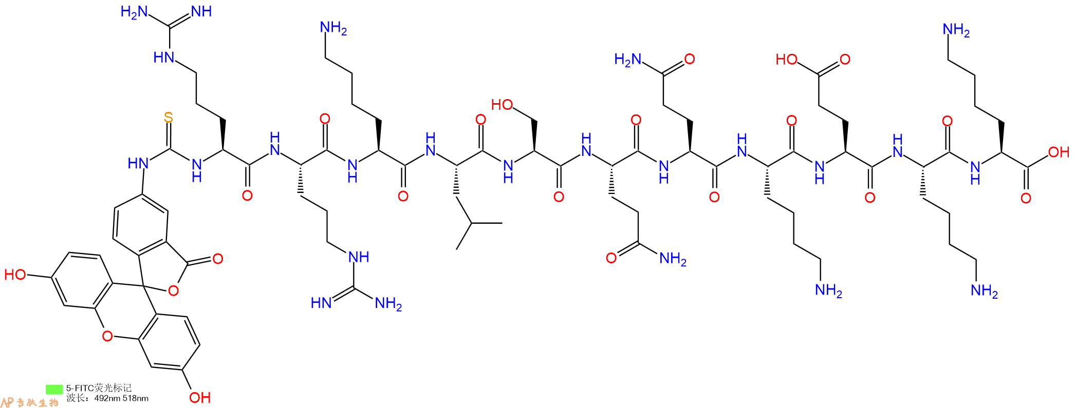 专肽生物产品5FITC-Arg-Arg-Lys-Leu-Ser-Gln-Gln-Lys-Glu-Lys-Lys-OH