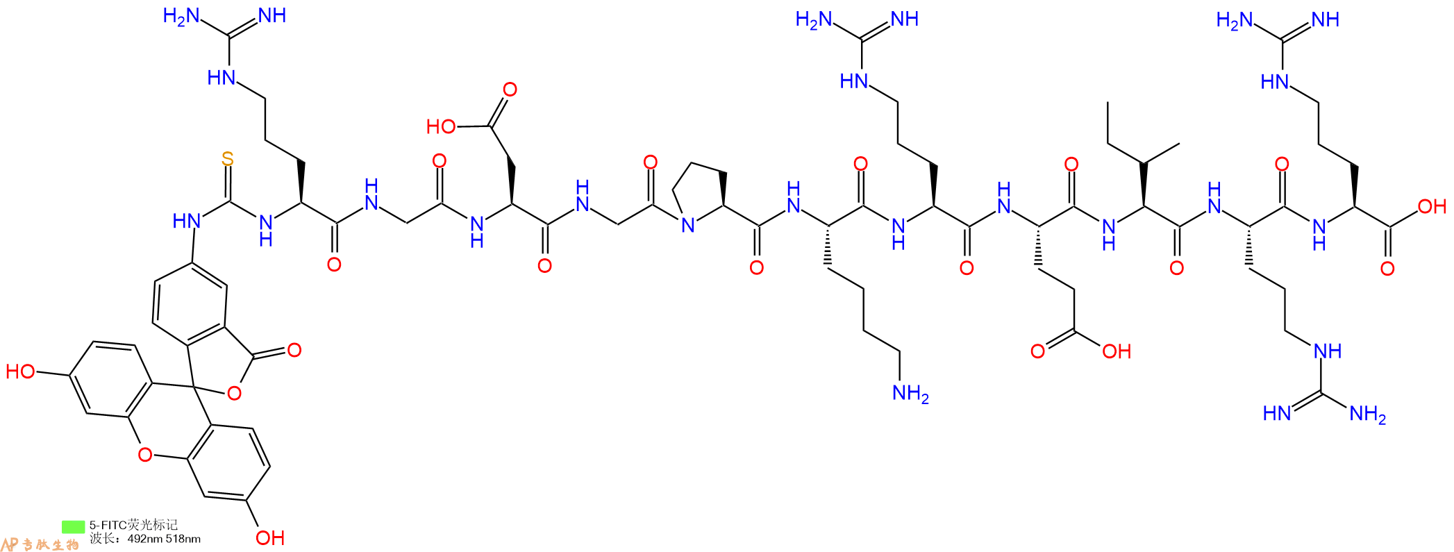 专肽生物产品5FITC-Arg-Gly-Asp-Gly-Pro-Lys-Arg-Glu-Ile-Arg-Arg-OH