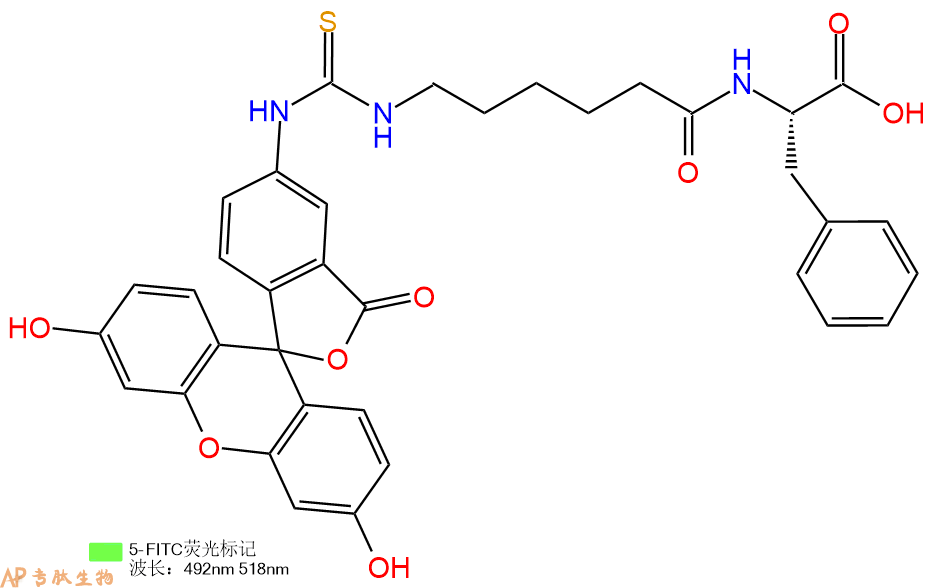 专肽生物产品5FITC-Ahx-Phe-OH