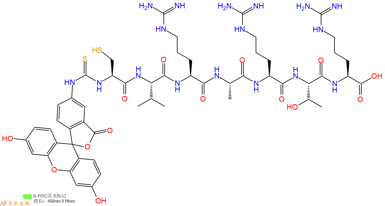 专肽生物产品5FITC-Cys-Val-Arg-Ala-Arg-Thr-Arg-OH