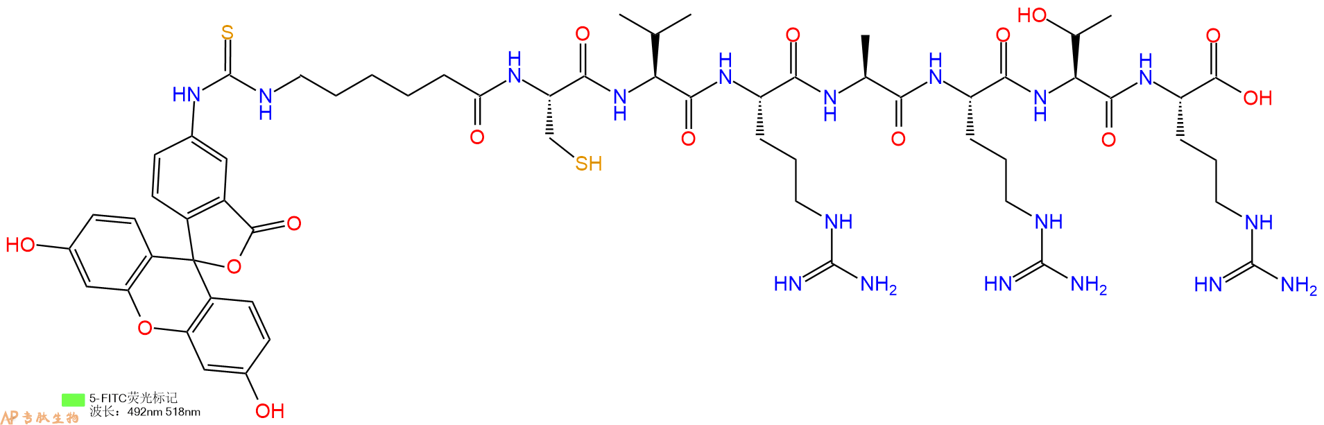 专肽生物产品5FITC-Ahx-Cys-Val-Arg-Ala-Arg-Thr-Arg-OH