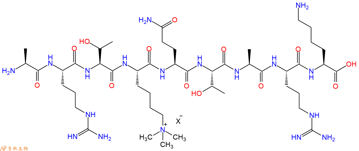 专肽生物产品H2N-Ala-Arg-Thr-Lys(Me)3-Gln-Thr-Ala-Arg-Lys-OH