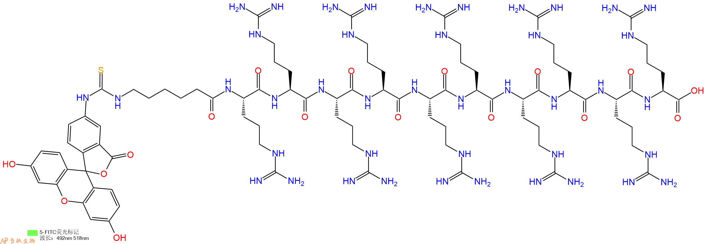 专肽生物产品5FITC-Ahx-Arg-Arg-Arg-Arg-Arg-Arg-Arg-Arg-Arg-Arg-OH