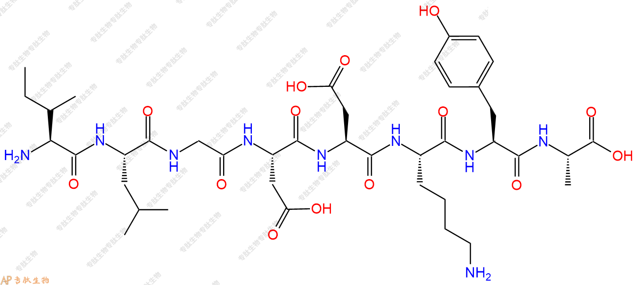 专肽生物产品H2N-Ile-Leu-Gly-Asp-Asp-Lys-Tyr-Ala-OH