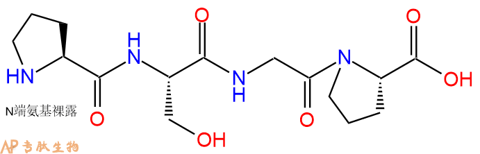 专肽生物产品H2N-Pro-Ser-Gly-Pro-OH