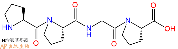 专肽生物产品H2N-Pro-Pro-Gly-Pro-OH