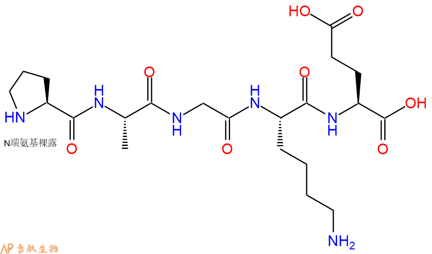 专肽生物产品H2N-Pro-Ala-Gly-Lys-Glu-OH