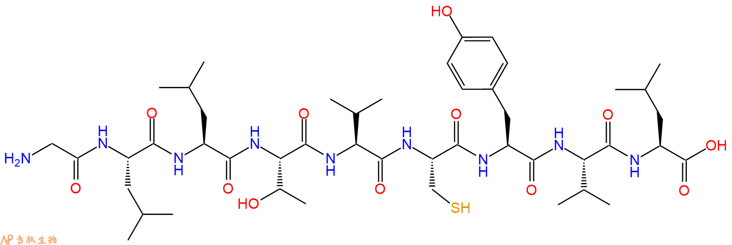 专肽生物产品H2N-Gly-Leu-Leu-Thr-Val-Cys-Tyr-Val-Leu-OH
