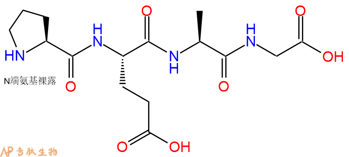 专肽生物产品H2N-Pro-Glu-Ala-Gly-OH