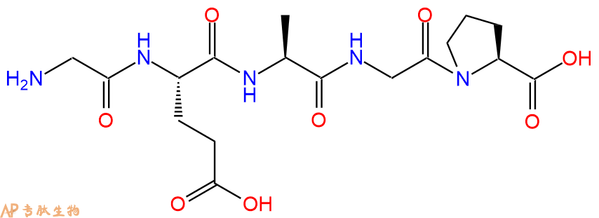 专肽生物产品H2N-Gly-Glu-Ala-Gly-Pro-OH