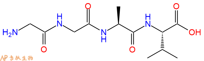 专肽生物产品H2N-Gly-Gly-Ala-Val-OH