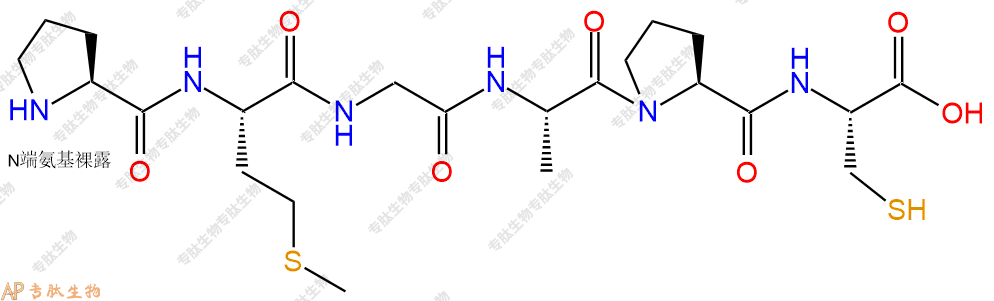 专肽生物产品H2N-Pro-Met-Gly-Ala-Pro-Cys-OH