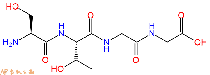 专肽生物产品H2N-Ser-Thr-Gly-Gly-OH