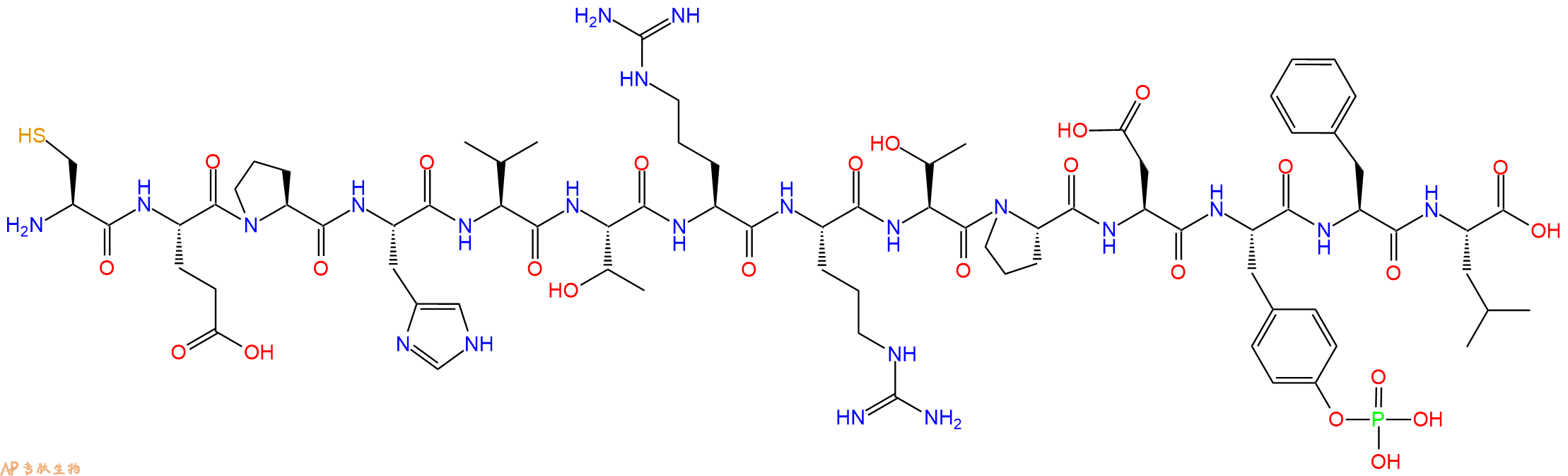 专肽生物产品H2N-Cys-Glu-Pro-His-Val-Thr-Arg-Arg-Thr-Pro-Asp-Tyr(PO3H2)-Phe-Leu-OH
