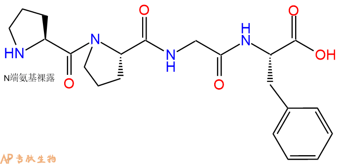 专肽生物产品H2N-Pro-Pro-Gly-Phe-OH