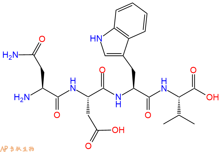 专肽生物产品H2N-Asn-Asp-Trp-Val-OH