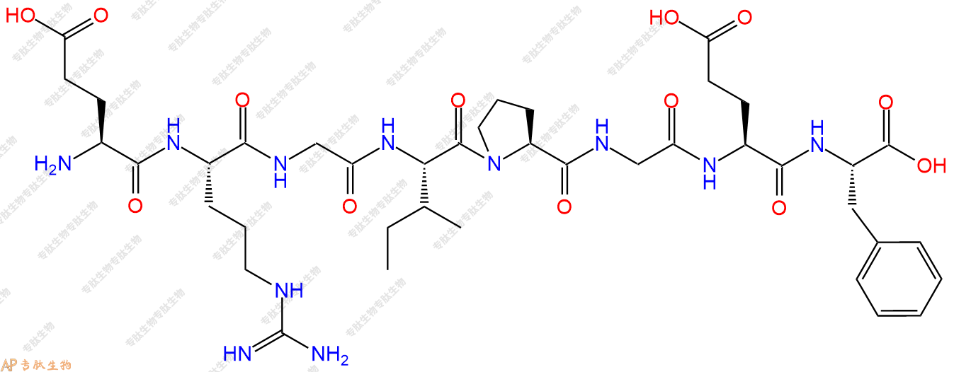 专肽生物产品H2N-Glu-Arg-Gly-Ile-Pro-Gly-Glu-Phe-OH