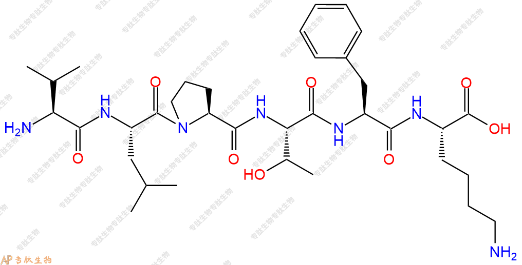 专肽生物产品H2N-Val-Leu-Pro-Thr-Phe-Lys-OH