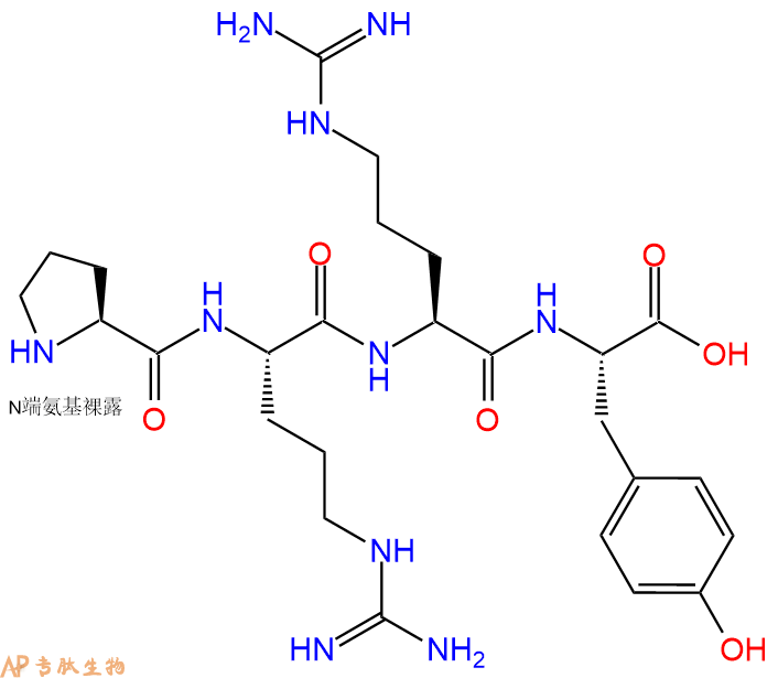 专肽生物产品H2N-Pro-Arg-Arg-Tyr-OH