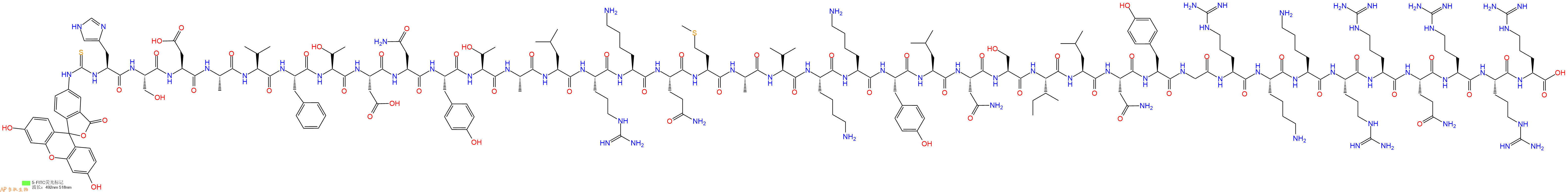 专肽生物产品5FITC-His-Ser-Asp-Ala-Val-Phe-Thr-Asp-Asn-Tyr-Thr-Ala-Leu-Arg-Lys-Gln-Met-Ala-Val-Lys-Lys-Tyr-Leu-Asn-Ser-Ile-Leu-Asn-Tyr-Gly-Arg-Lys-Lys-Arg-Arg-Gln-Arg-Arg-Arg-OH