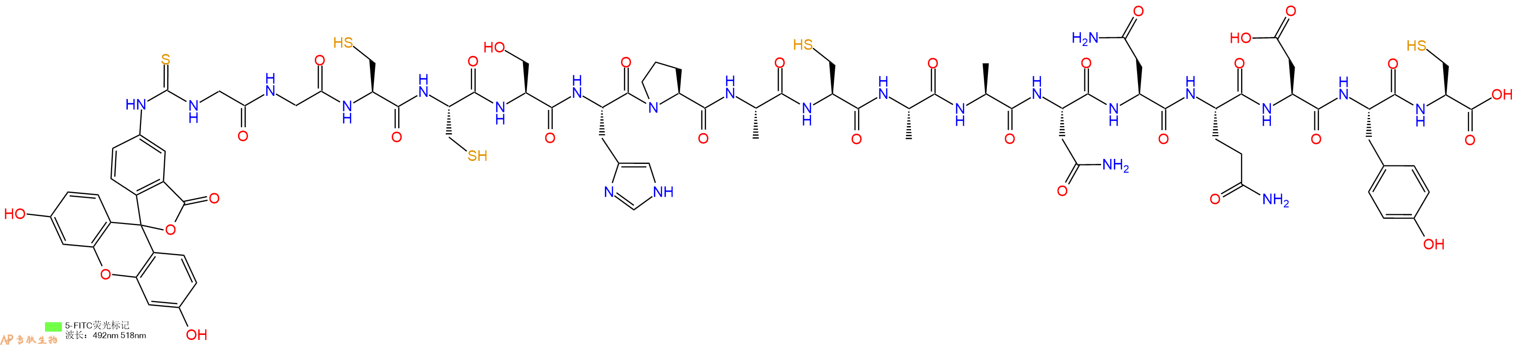 专肽生物产品5FITC-Gly-Gly-Cys-Cys-Ser-His-Pro-Ala-Cys-Ala-Ala-Asn-Asn-Gln-Asp-Tyr-Cys-OH