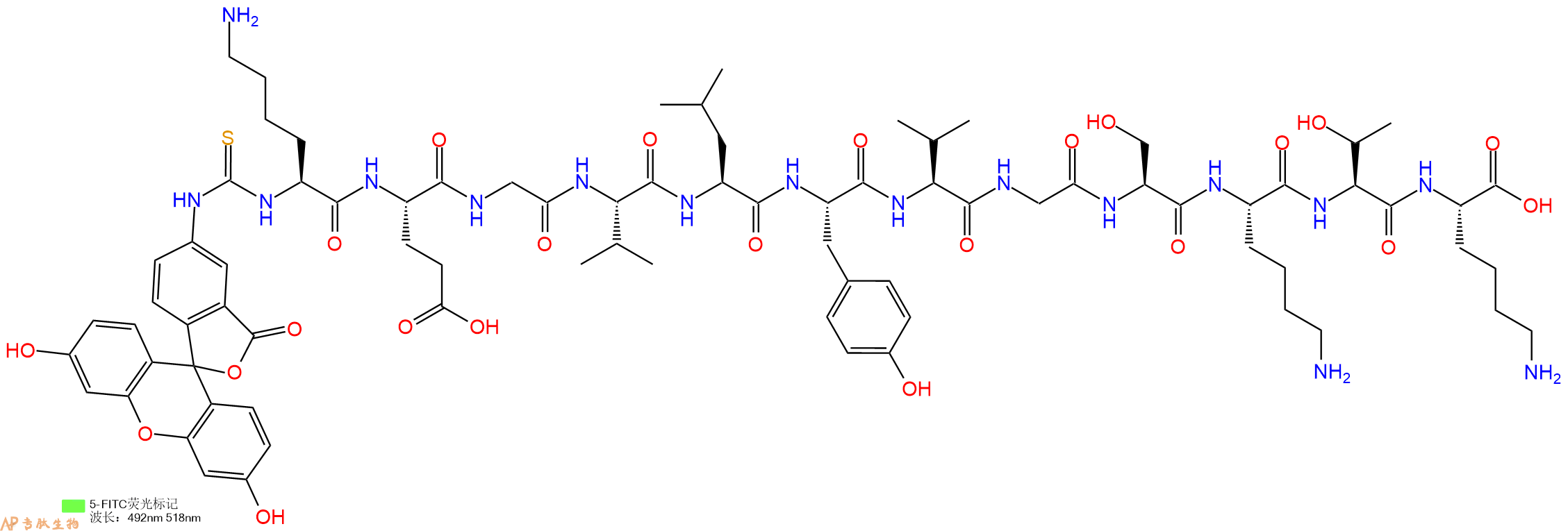 专肽生物产品5FITC-Lys-Glu-Gly-Val-Leu-Tyr-Val-Gly-Ser-Lys-Thr-Lys-OH