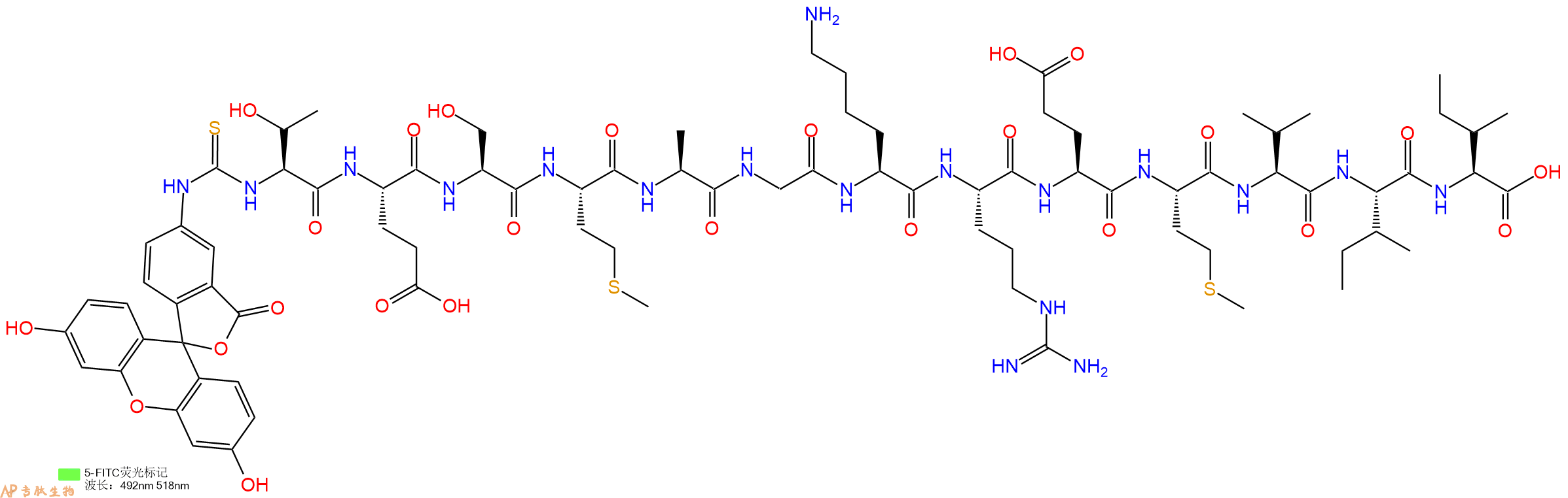 专肽生物产品5FITC-Thr-Glu-Ser-Met-Ala-Gly-Lys-Arg-Glu-Met-Val-Ile-Ile-OH
