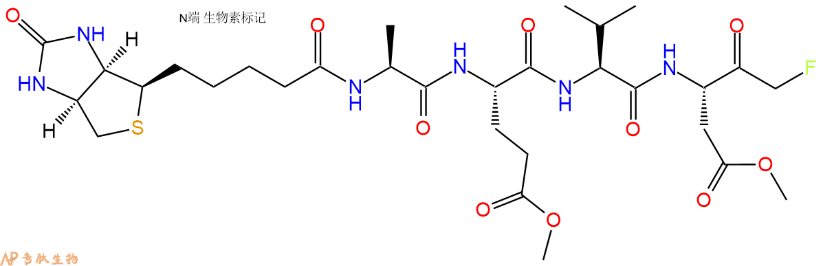 专肽生物产品Biotin-AEVD-FMK