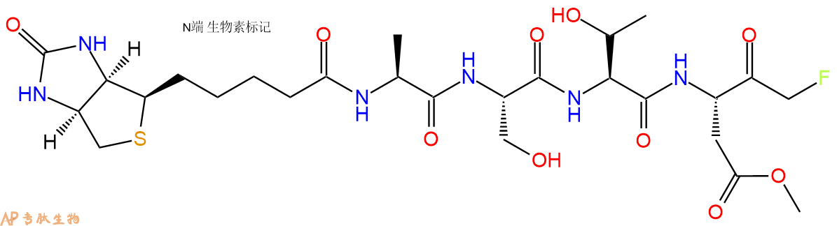 专肽生物产品Biotin-ASTD-FMK