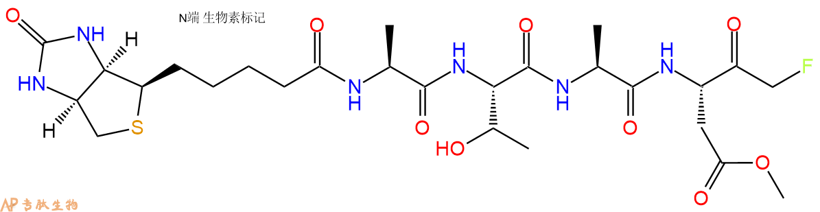 专肽生物产品Biotin-ATAD-FMK