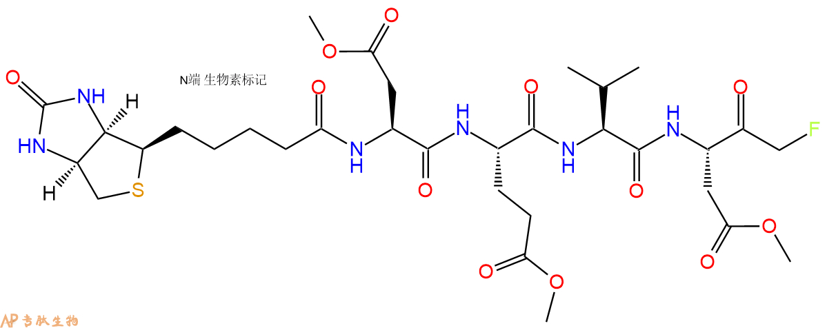 专肽生物产品Biotin-DEVD-FMK