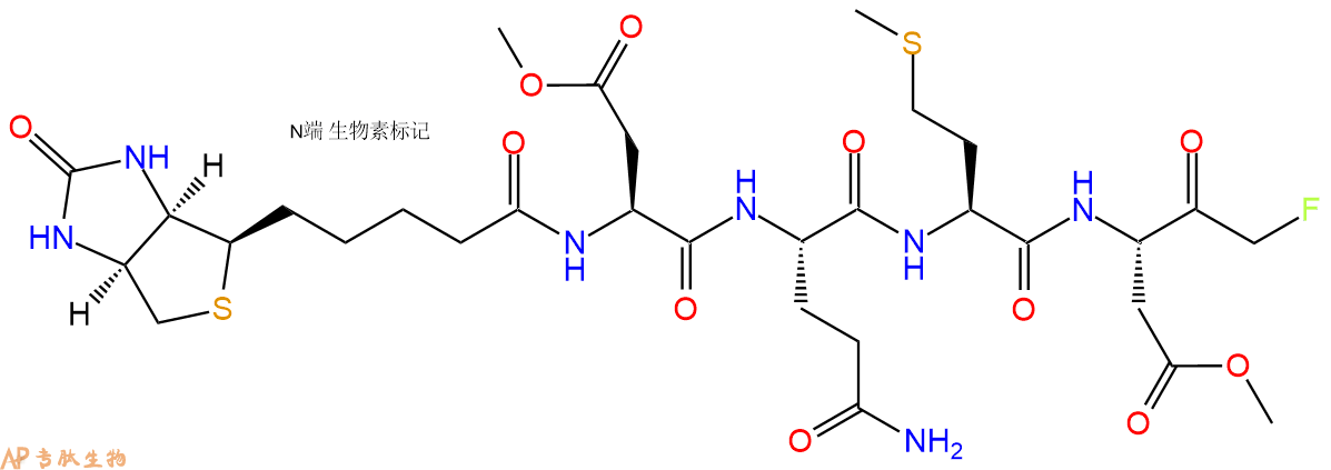 专肽生物产品Biotin-DQMD-FMK