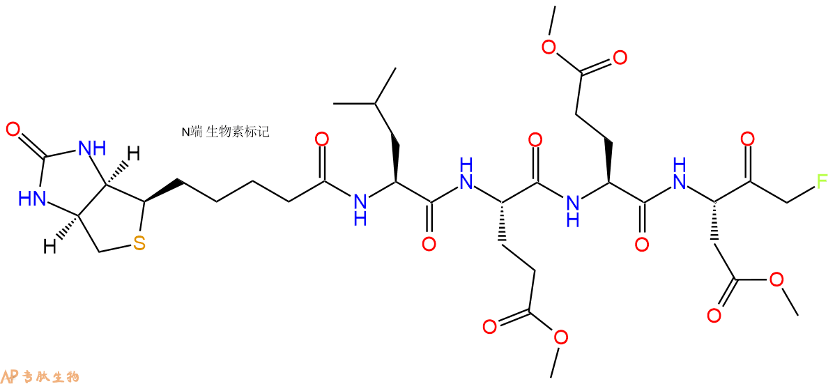 专肽生物产品Biotin-LEED-FMK