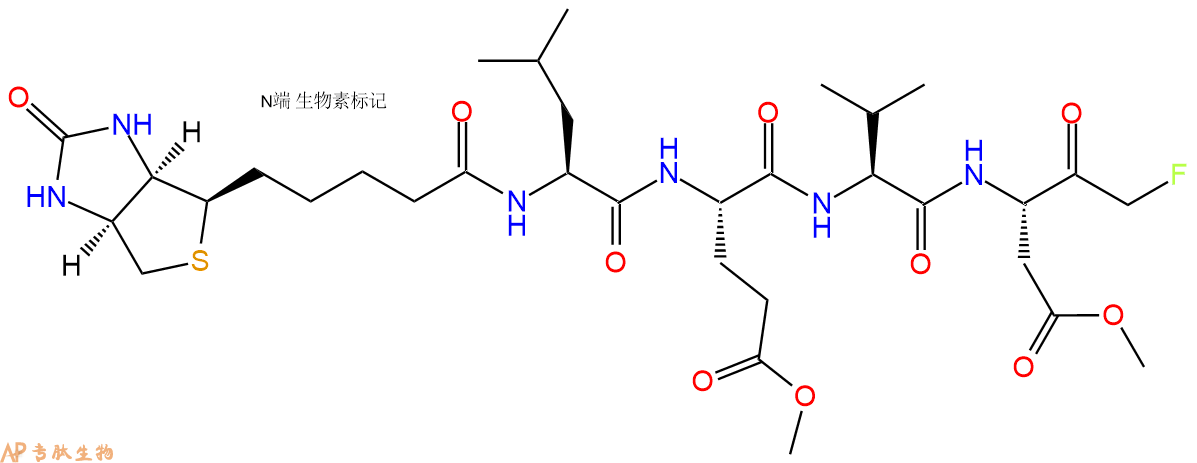 专肽生物产品Biotin-LEVD-FMK