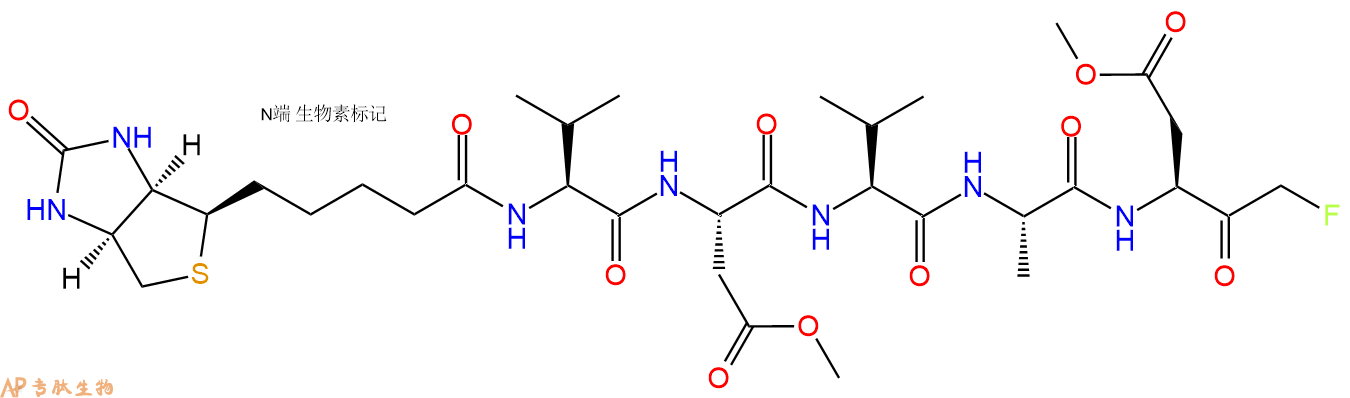 专肽生物产品Biotin-VDVAD-FMK