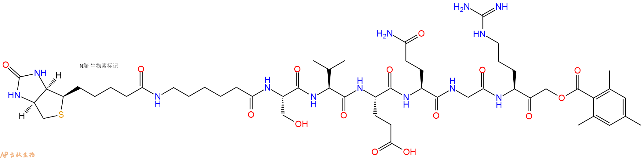 专肽生物产品Biotinyl-εAhx-SCC1 (263-268)-2,4,6-trimethylbenzoyloxy-methylketone (S. cerevisiae)455951-99-2