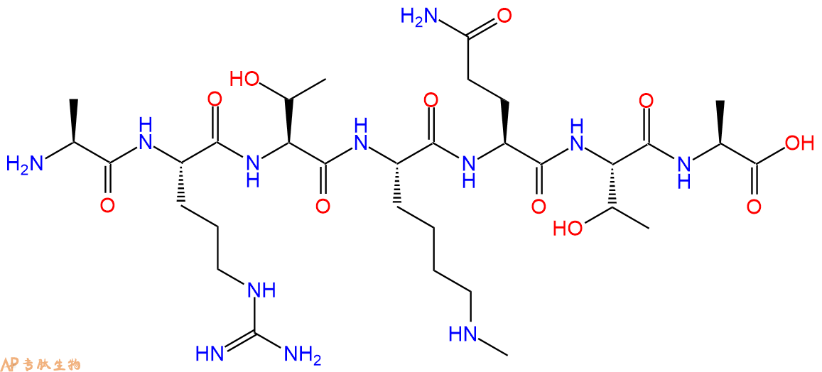 专肽生物产品H2N-Ala-Arg-Thr-Lys(Me)-Gln-Thr-Ala-OH
