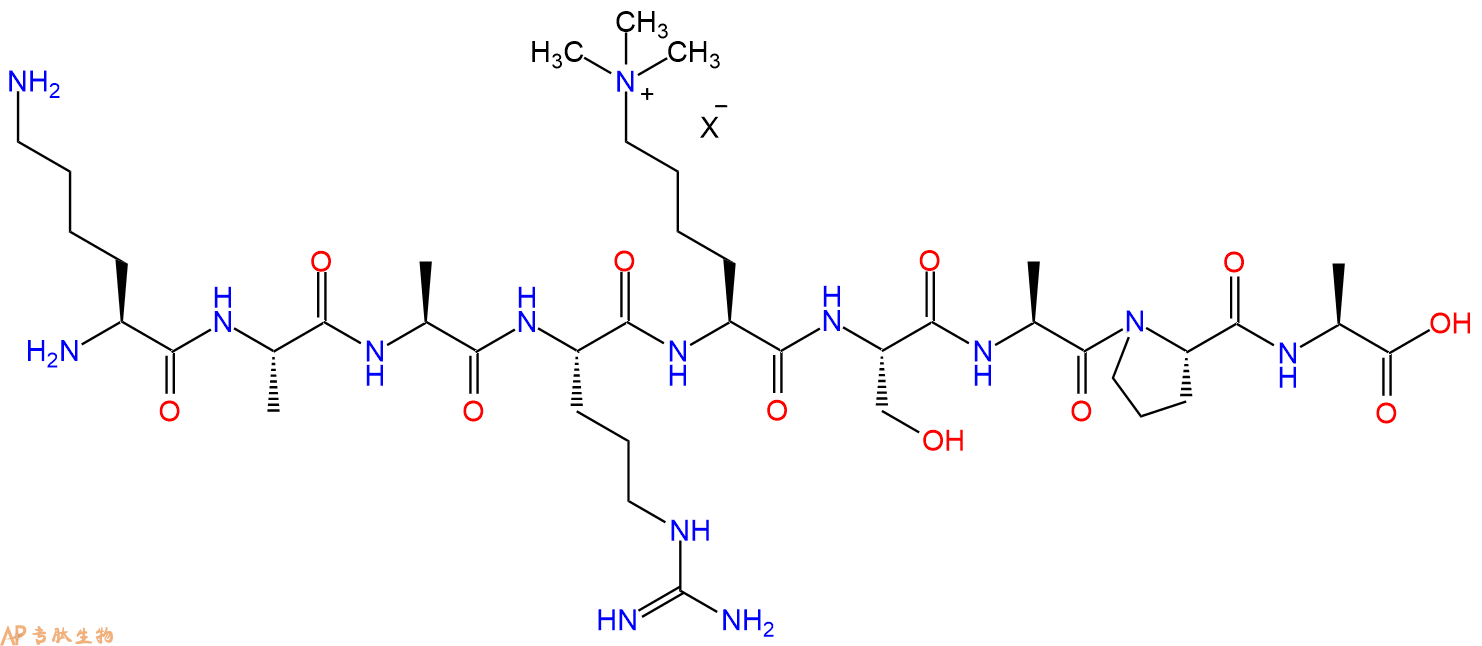专肽生物产品H2N-Lys-Ala-Ala-Arg-Lys(Me)3-Ser-Ala-Pro-Ala-OH