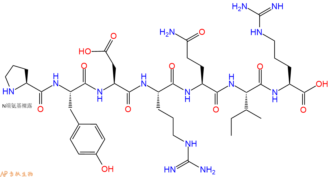 专肽生物产品H2N-Pro-Tyr-Asp-Arg-Gln-Ile-Arg-OH