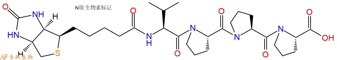 专肽生物产品Biotinyl-Val-Pro-Pro-Pro-OH