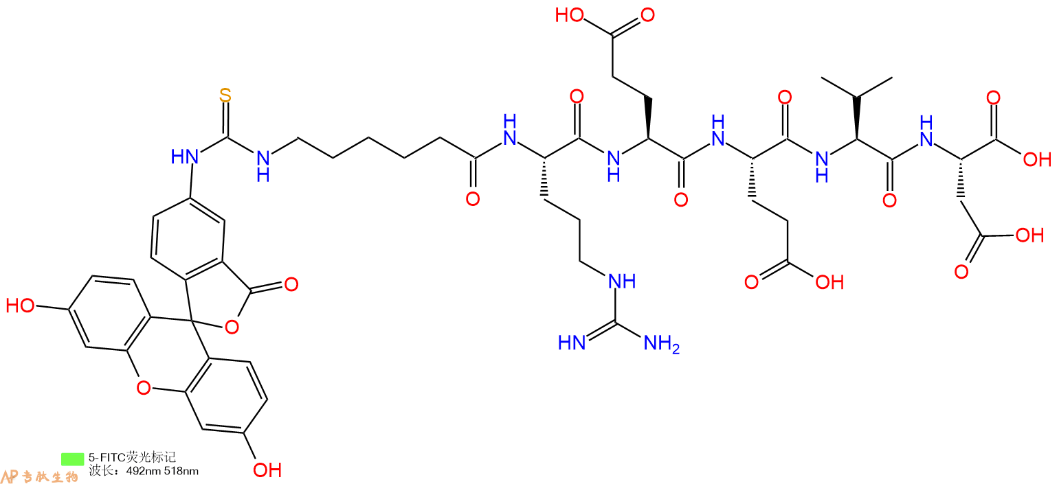 专肽生物产品5FITC-Ahx-Arg-Glu-Glu-Val-Asp-OH