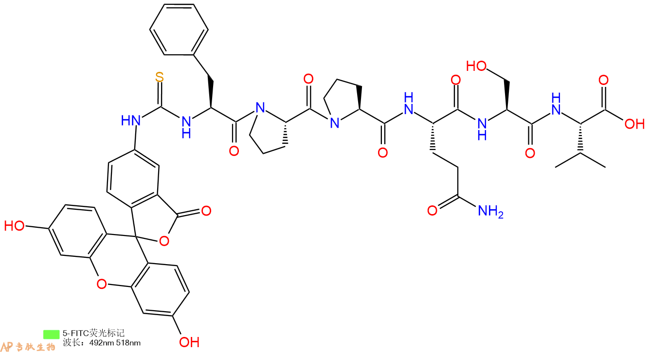 专肽生物产品5FITC-Phe-Pro-Pro-Gln-Ser-Val-OH